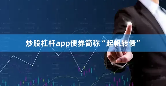 炒股杠杆app债券简称“起帆转债”